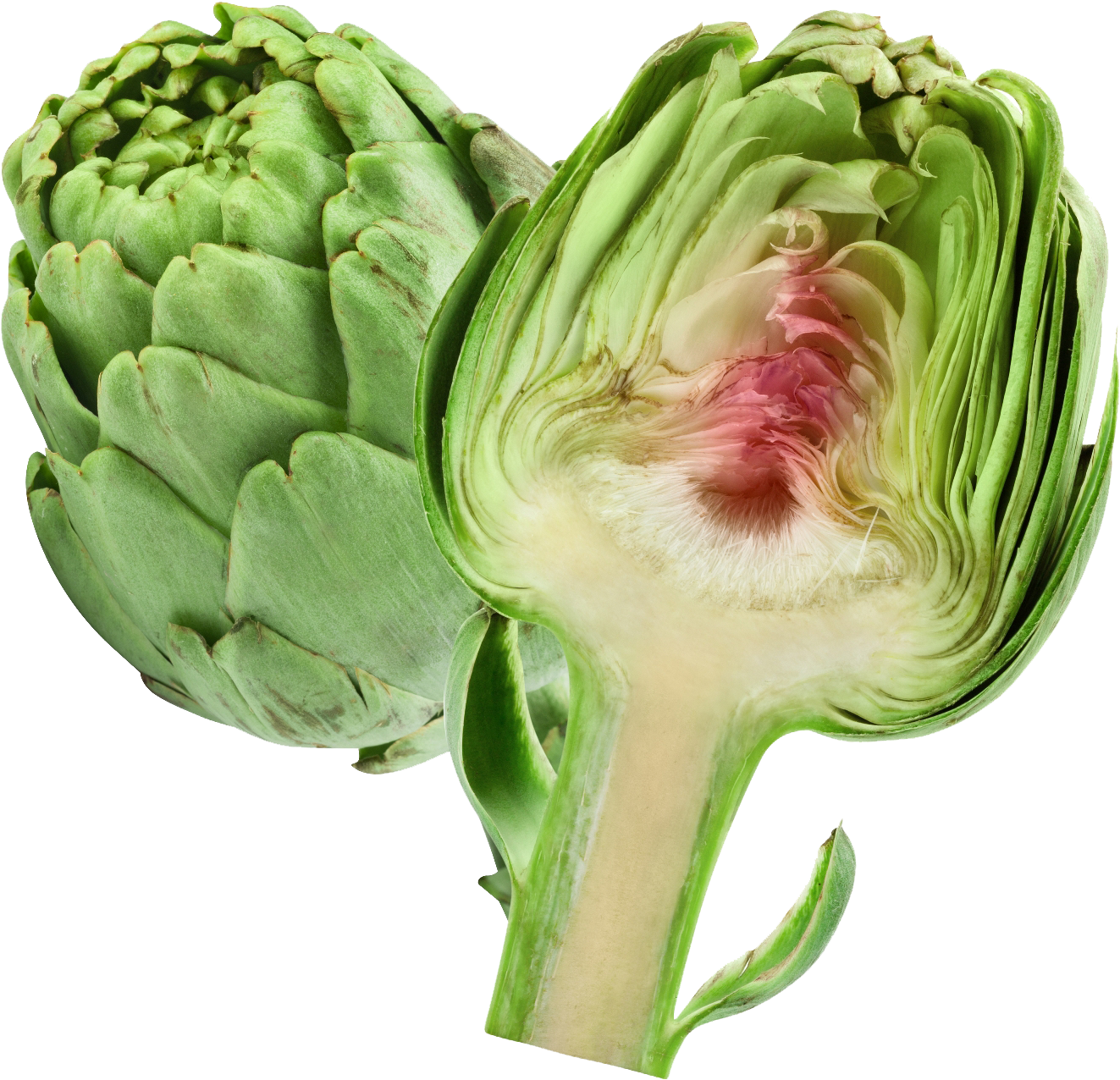 Download Png Image Report - Artichokes Png Clipart (1414x1414), Png Download