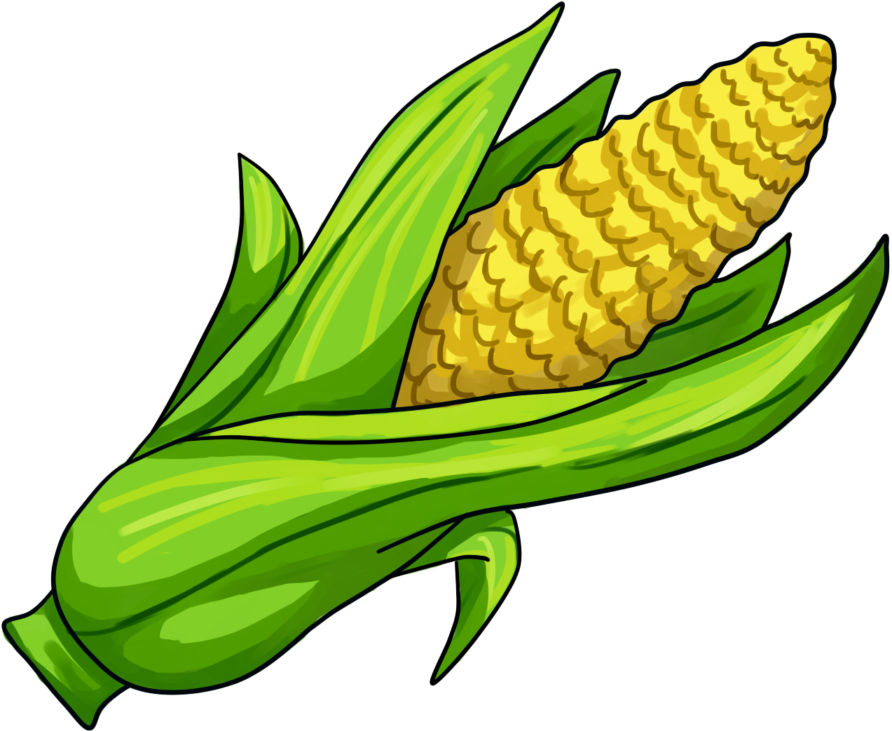 Corn On The Cob Maize Clip Art - Sweet Corn Drawing Png Transparent Png (1273x1043), Png Download