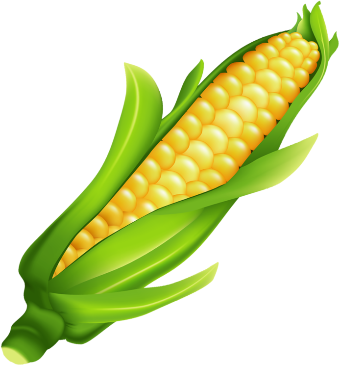 Ear Of Corn Clipart - Png Download (692x744), Png Download