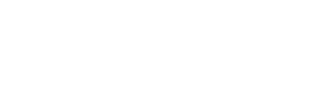 Provider Logos - Leinster Rugby Logo White Clipart (1019x380), Png Download