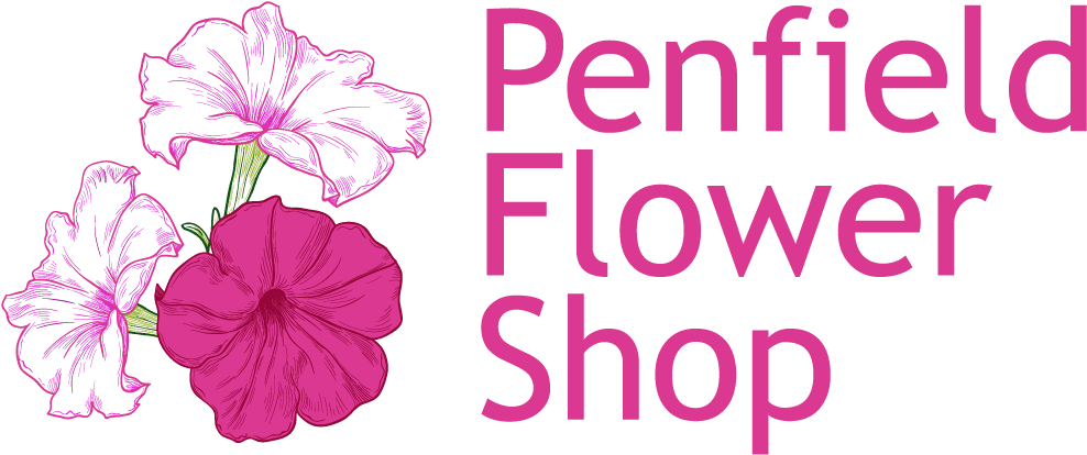 Penfield Flower Shop - Hawaiian Hibiscus Clipart (997x437), Png Download