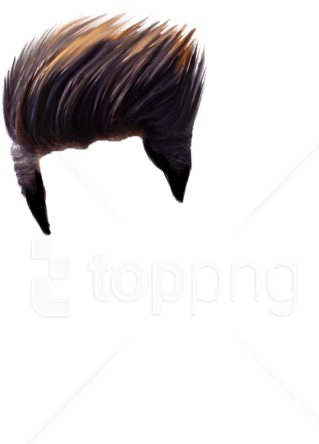 Free Png Hair Png - Close-up Clipart (480x854), Png Download