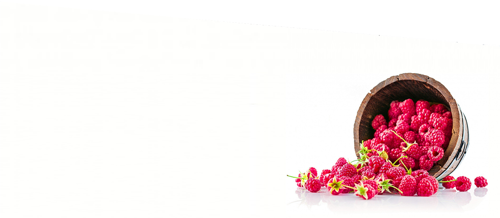 Family Owned & Operated Since - Love Lies Bleeding Clipart (980x437), Png Download