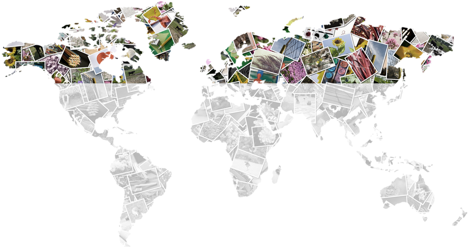 Map - Lenguaje En El Mundo Clipart (952x502), Png Download