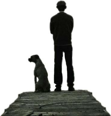 #ftstickers #silhouette #man #dog #standing - Companion Dog Clipart (368x383), Png Download