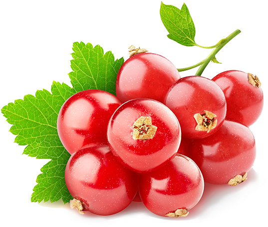 Red Currants Are Hardy And Relatively Easy To Grow - Swisse 蔓 越 莓 90 Clipart (690x460), Png Download