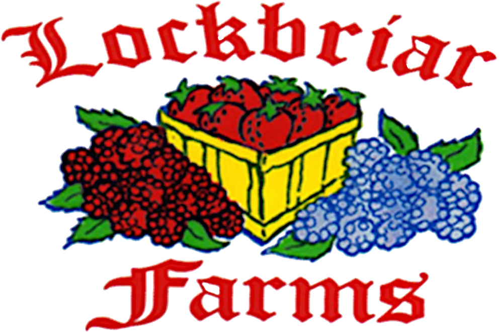 Clip Art - Png Download (1000x675), Png Download