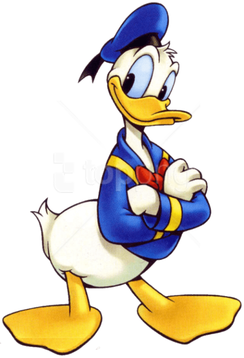 Free Png Download Donald Duck Clipart Png Photo Png - Donald Duck Transparent Png (480x705), Png Download