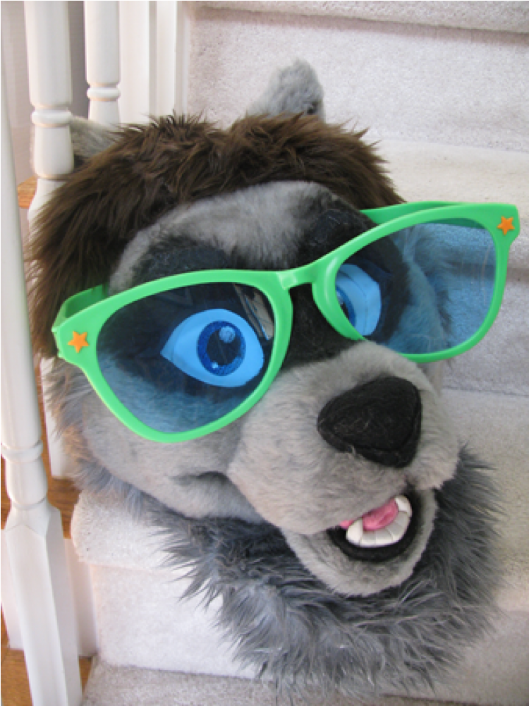 Glasses Png Fox Anthro Tollebild - Fursuit Sunglasses Clipart (1508x1000), Png Download