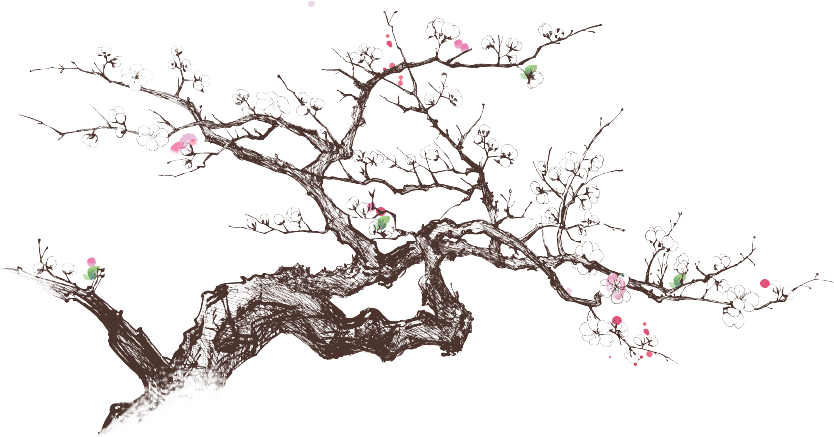 Meldville Cherry Blossoms - Chinese Painting Clipart (842x450), Png Download