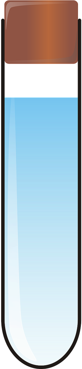 Tube Test Cork Glass Lab Png Image - Tube De Laboratoire Png Clipart (640x1280), Png Download