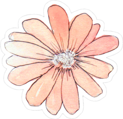 Flower Tumblr Aesthetic Pink - Flower Tumblr Sticker Png Clipart (422x408), Png Download