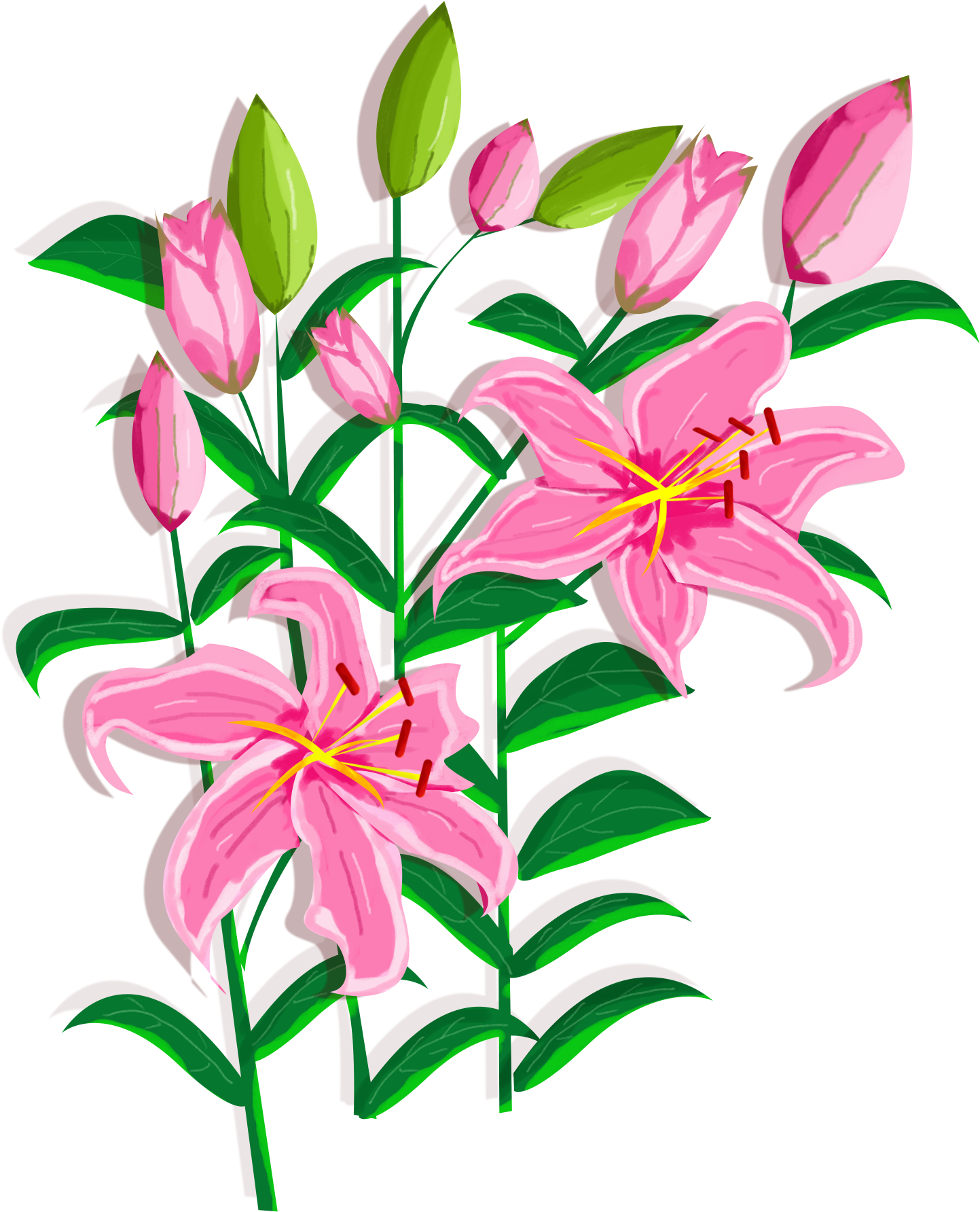 Lily Flower Design Element Png And Psd - Stargazer Lily Clipart (2000x2000), Png Download