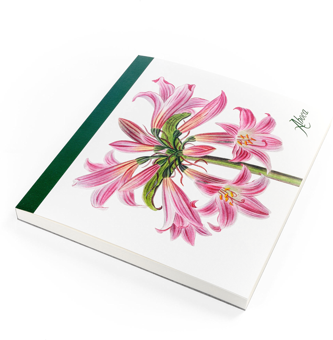 Picture Of Flower Desk Belladonna Lily - Gerbera Clipart (1280x1280), Png Download