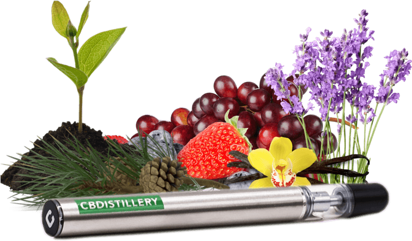 Cbd Vape Pen, 200 Mg - Cannabidiol Clipart (800x800), Png Download