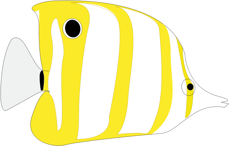 Fish Clipart (800x531), Png Download