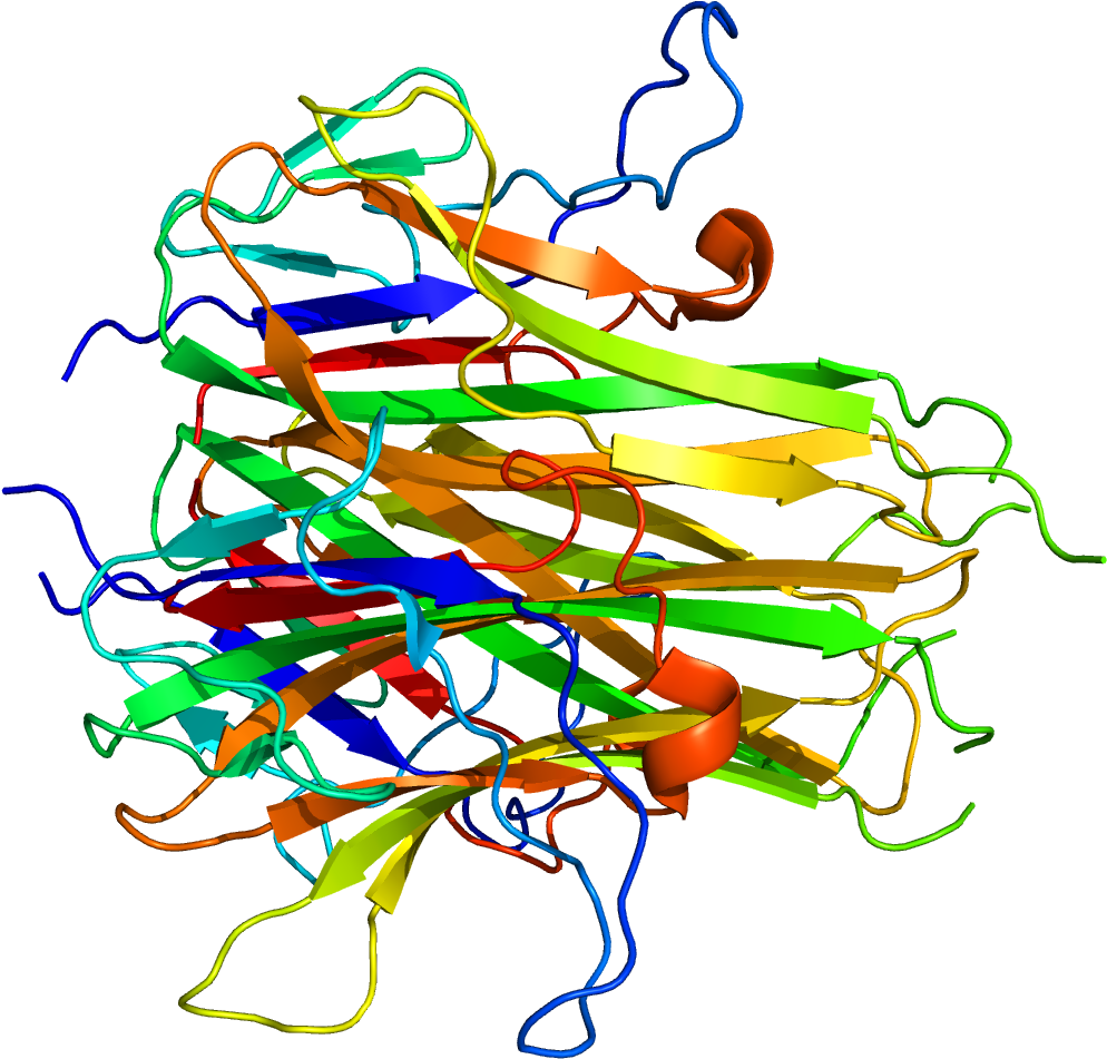 Protein Tnfsf15 Pdb 2o0o - Graphic Design Clipart (1200x1000), Png Download