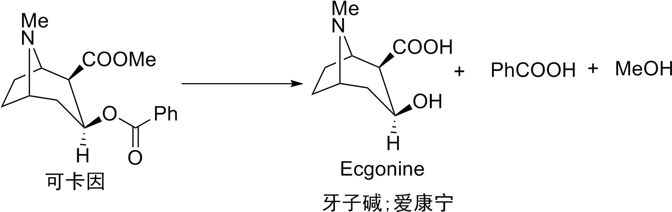 Hydrolysis Of Cocaine - Cocaine Hydrolysis Clipart (1386x446), Png Download