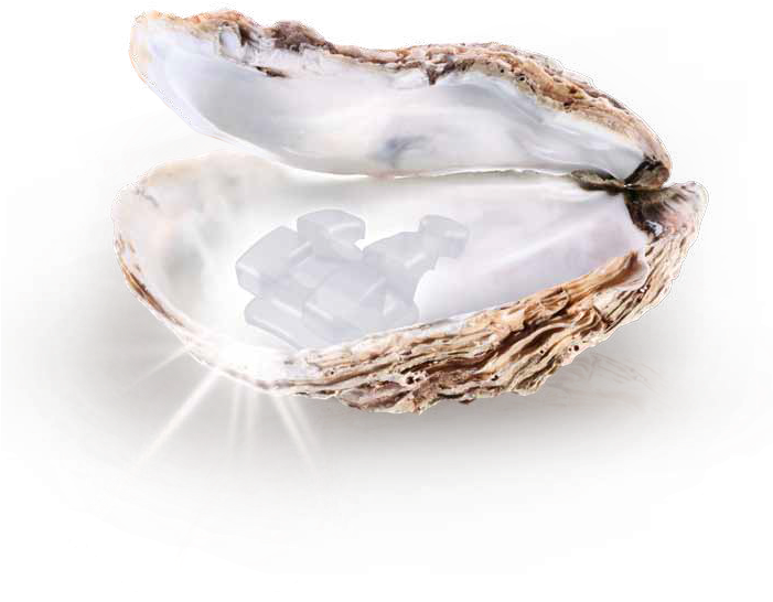 Pearl Png - White Pearl Clipart (700x624), Png Download