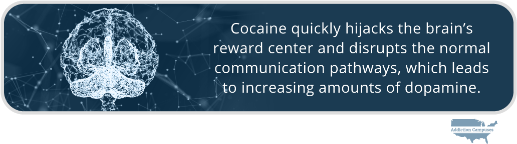 Com The Dangers Of Using Cocaine Intravenously Cocaine - Addiction Campuses Clipart (1043x302), Png Download