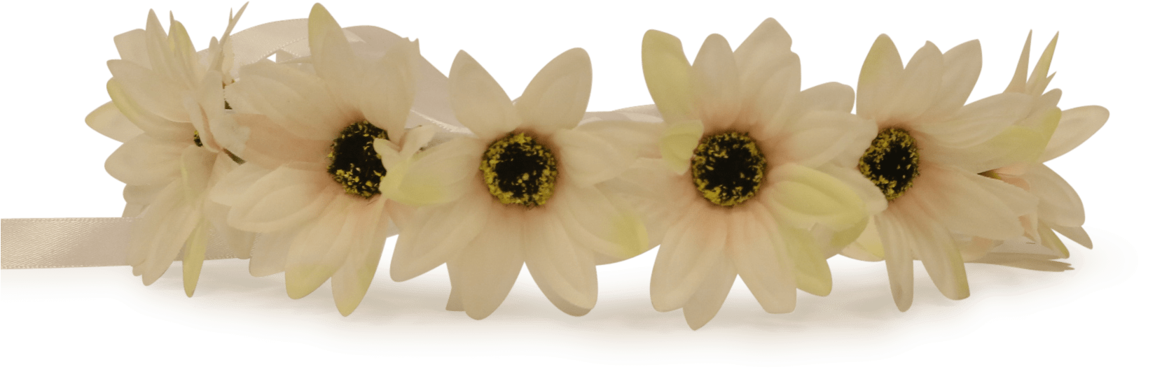 Awesome White Flower Crown Transparent Pictures Wedding - Flower Clipart (1649x535), Png Download