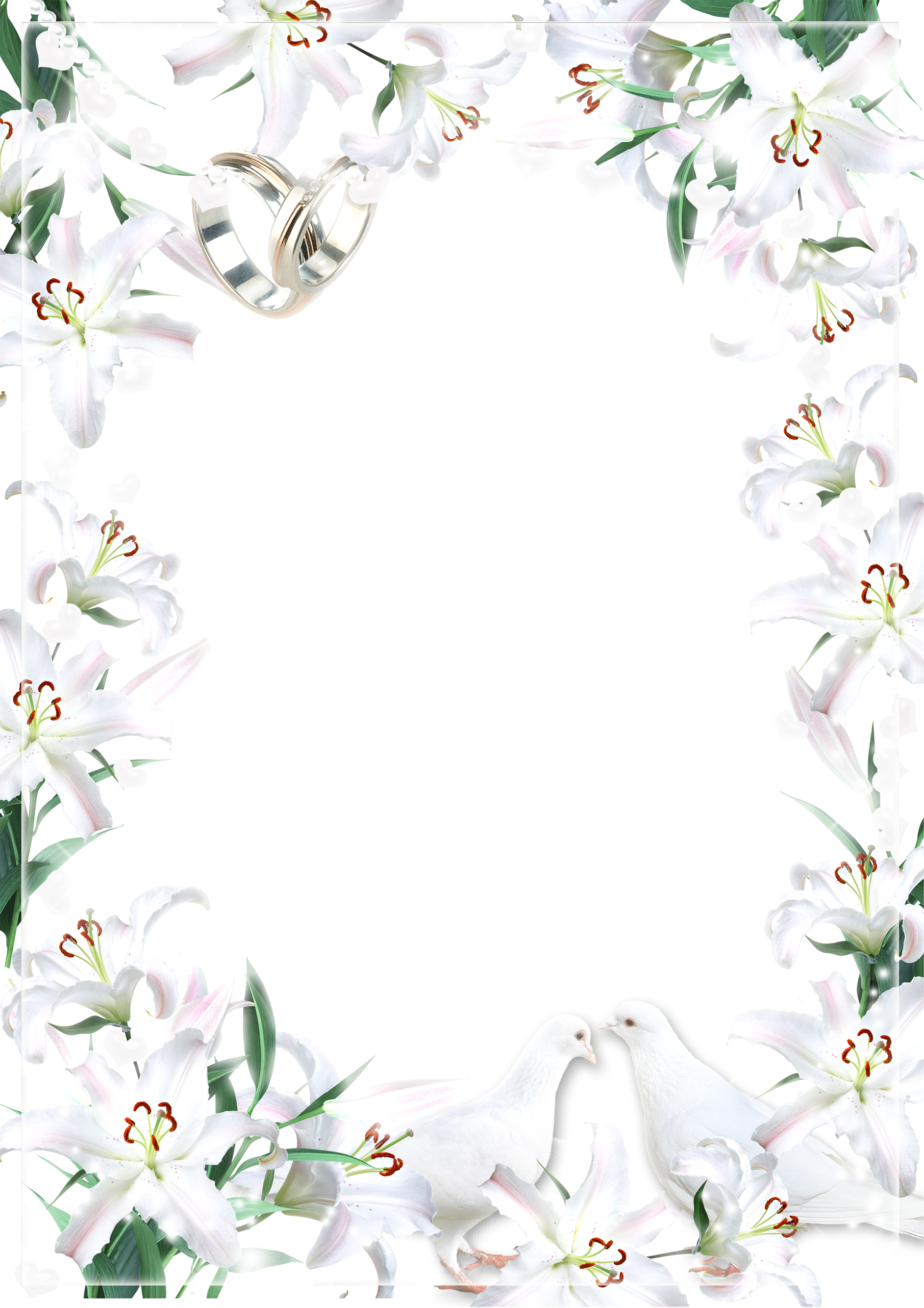 Jasmine Clipart (1885x2666), Png Download