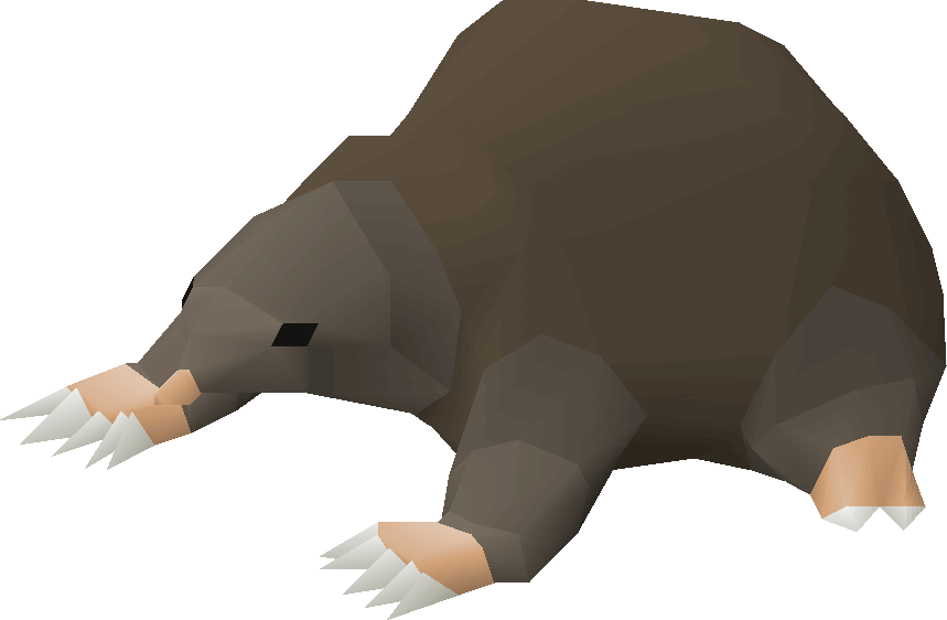 2007scape - Grizzly Bear Clipart (859x562), Png Download