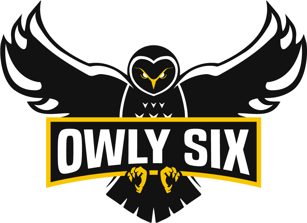Delete Tournament - Owly Six Clipart (1386x804), Png Download