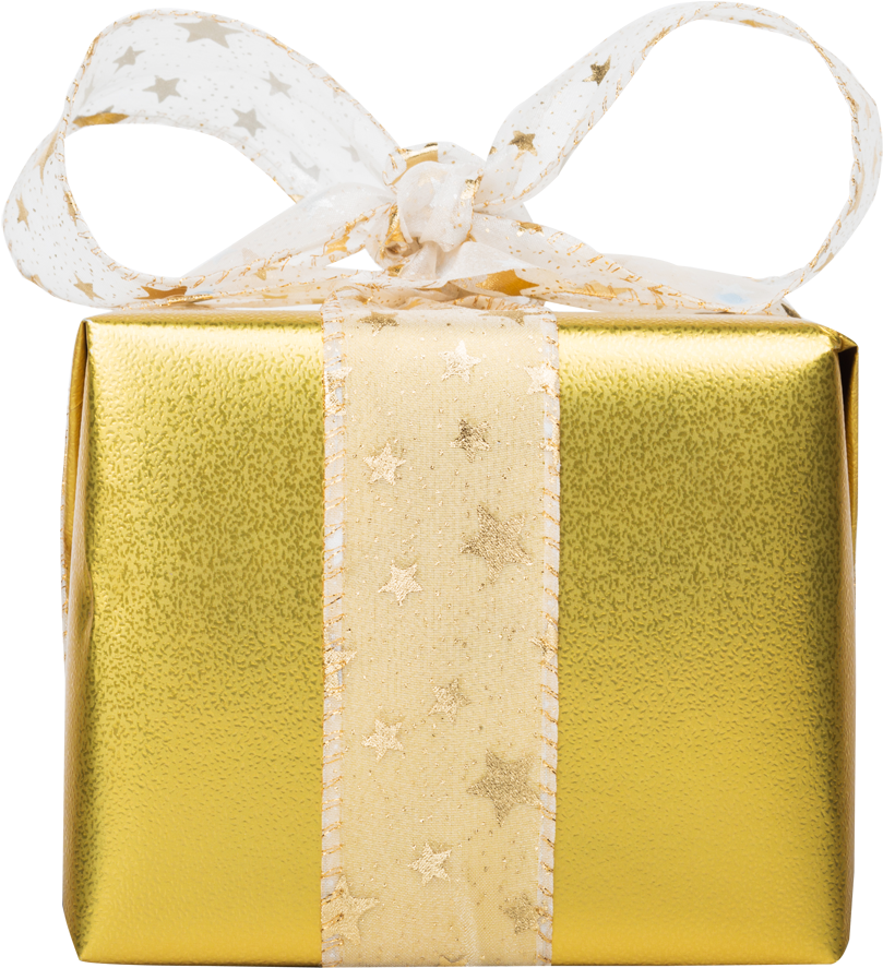 Golden Wonder Side Web - Handbag Clipart (1000x1000), Png Download