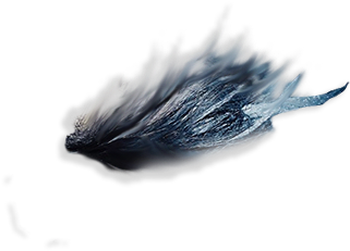 Eyebrows Png ➤ Download - Belted Kingfisher Clipart (706x1024), Png Download