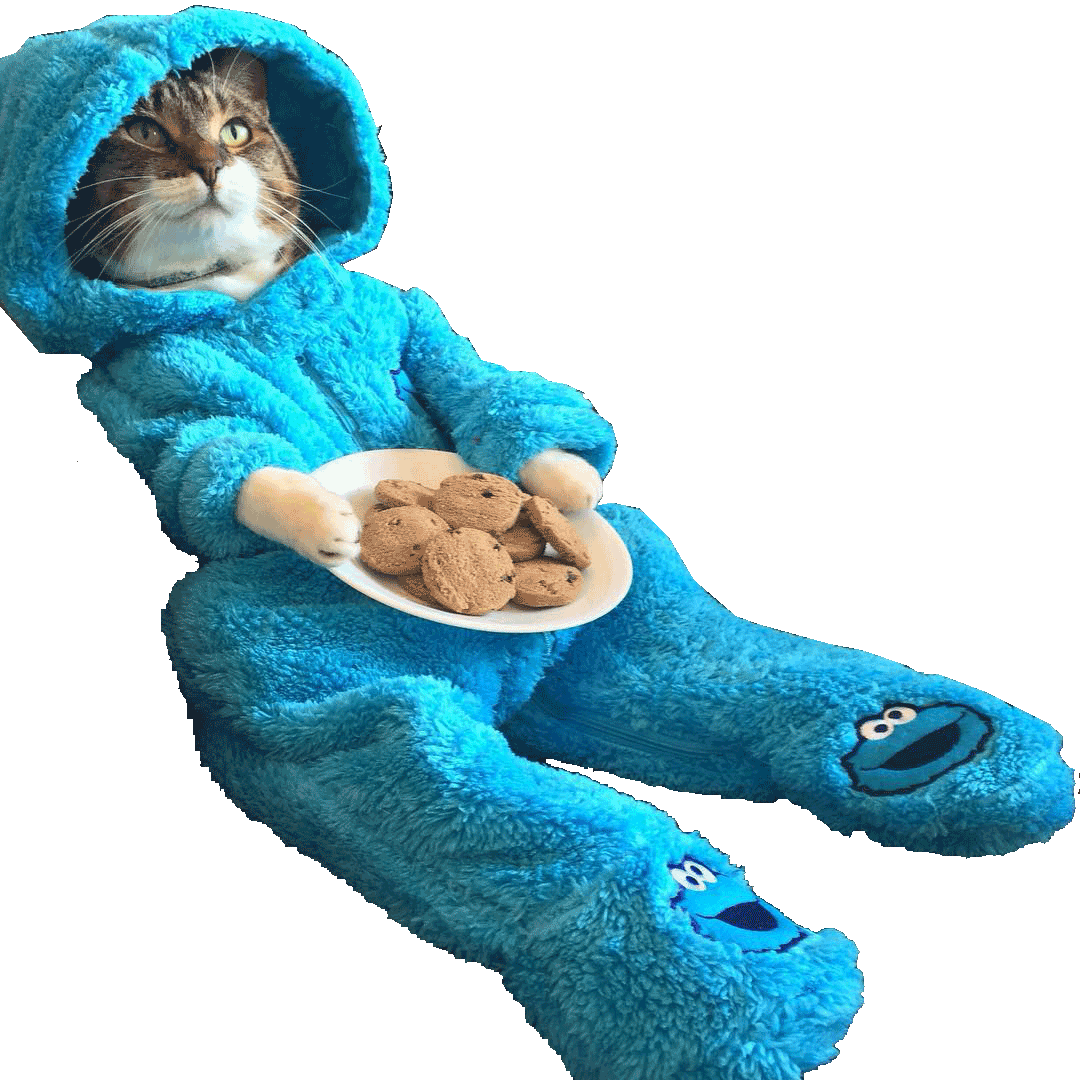Cat Wearing Cookie Monster Onesie - You Re Finally Home Alone Clipart (1080x1080), Png Download