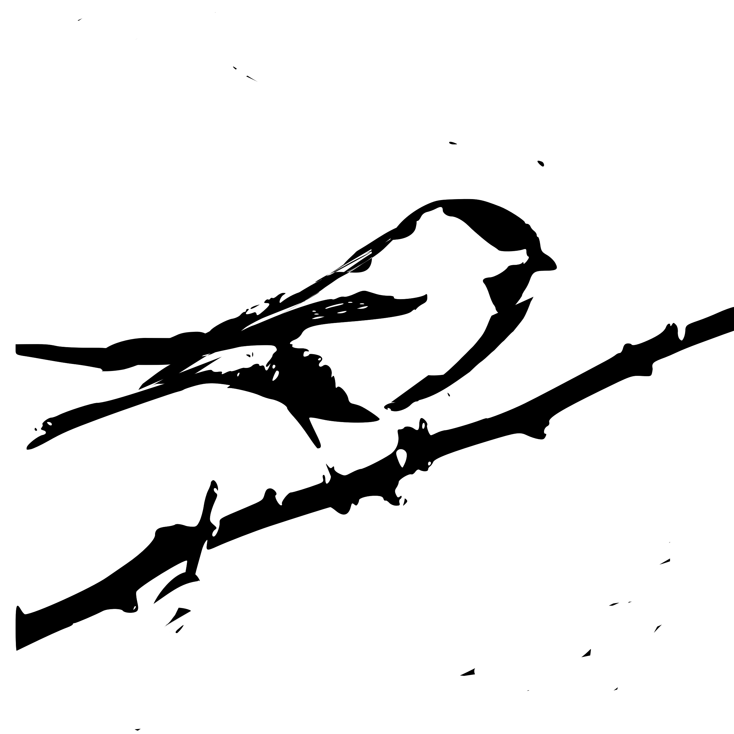 Птичка сидит на ветке рисунок