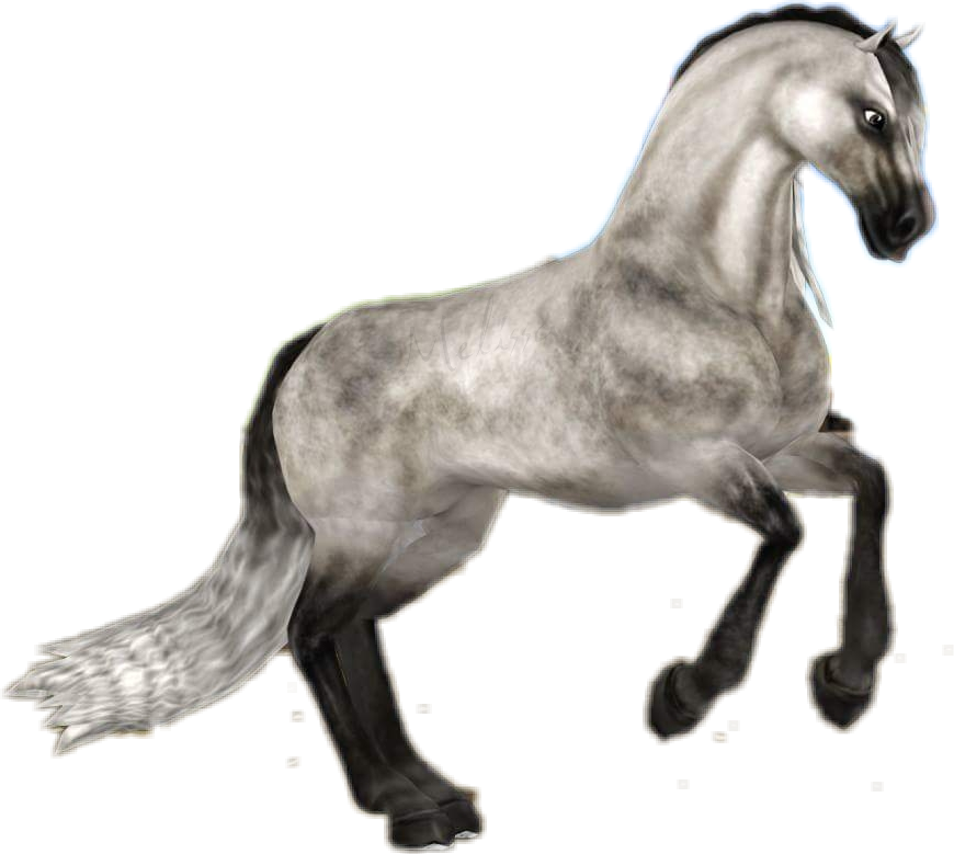 #starstableonline #starstable #sso #horse #andalusian - Sso Andalusian Clipart (870x779), Png Download