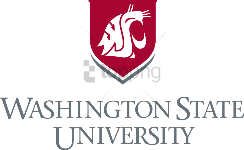 Free Png Download Washington State Spokane University - Washington State University Foundation Logo Clipart (850x523), Png Download