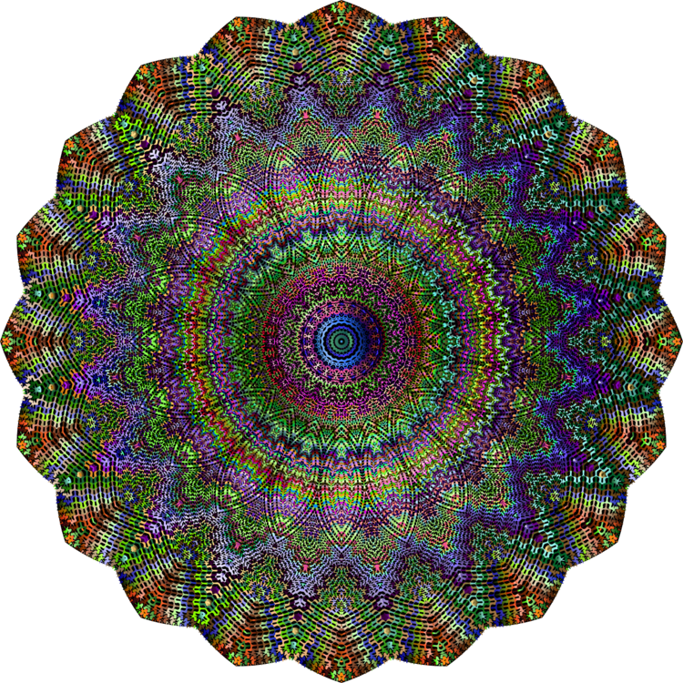 Great Barrier Reef Coral Reef Symmetry - Circle Clipart (750x750), Png Download