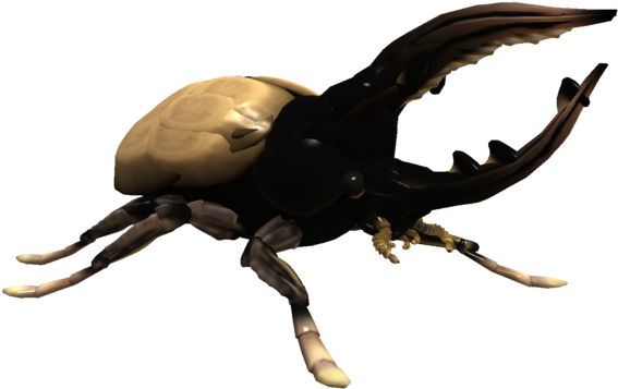 Beetle Transparent Hercules - Hercules Beetle Transparent Clipart (1024x576), Png Download