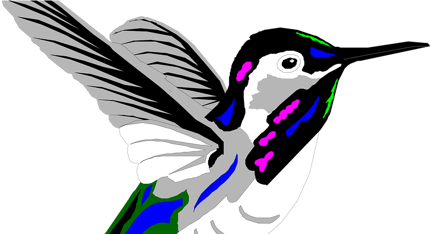 Bird Colibri Animated Clipart (894x469), Png Download