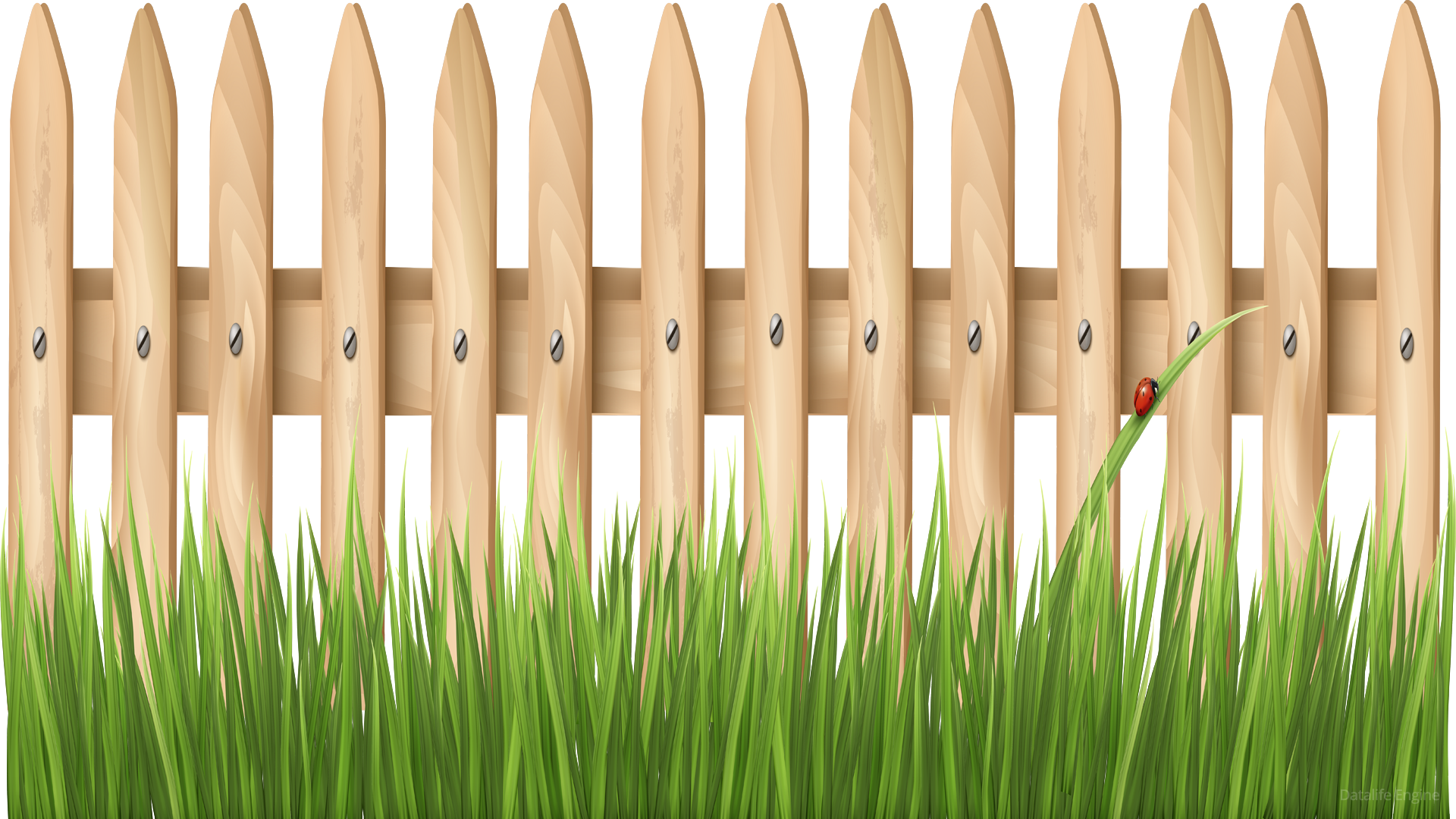 Picket Fence Png Clipart (1920x1080), Png Download