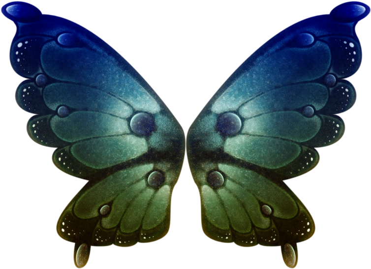 Pretty Wings - 蝴蝶 Clipart (788x600), Png Download