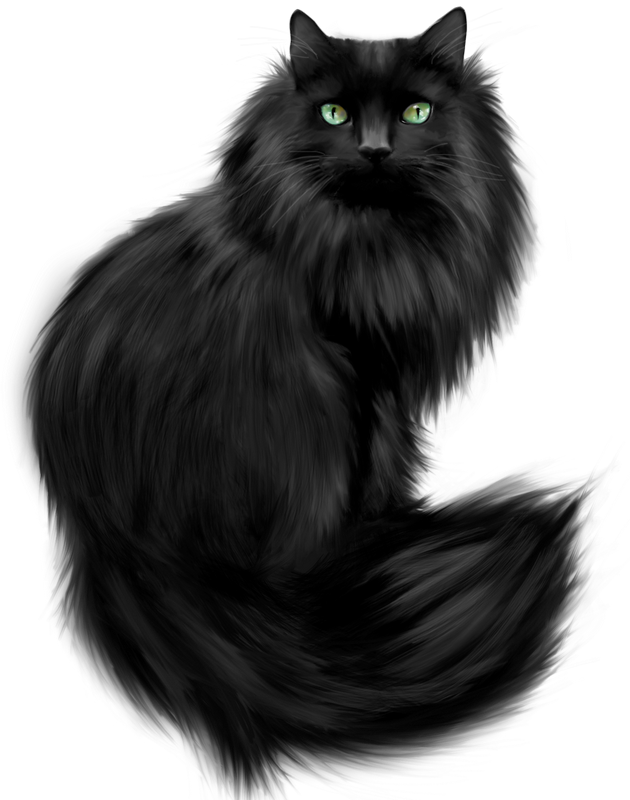 Crazy Catt Black Cat Art, Black Cats, Black Kitty, - Black Fluffy Cat Clip Art - Png Download (630x800), Png Download