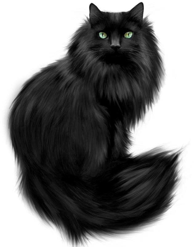 Crazy Catt Black Cat Art Black Cats Black Kitty Black Fluffy Cat Clip Art Png Download Large Size Png Image Pikpng Crazy Catt Black Cat Art Black Cats Black Kitty Black Fluffy Cat Clip Art Png Download Large Size Png Image Pikpng