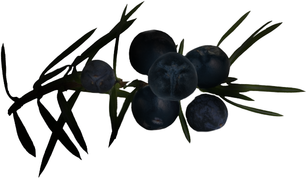 I Amber Oriental - Black Widow Clipart (1116x698), Png Download