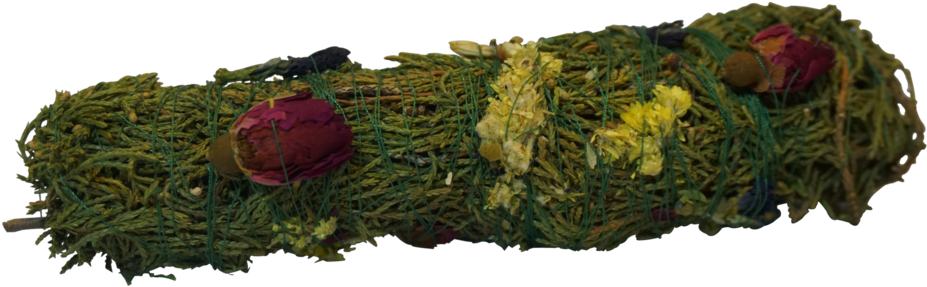 Garden Roses Clipart (1024x683), Png Download