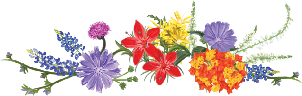 Texas Vodka Greenlight Agency Dallas Tx - Wildflower Clipart (1000x334), Png Download