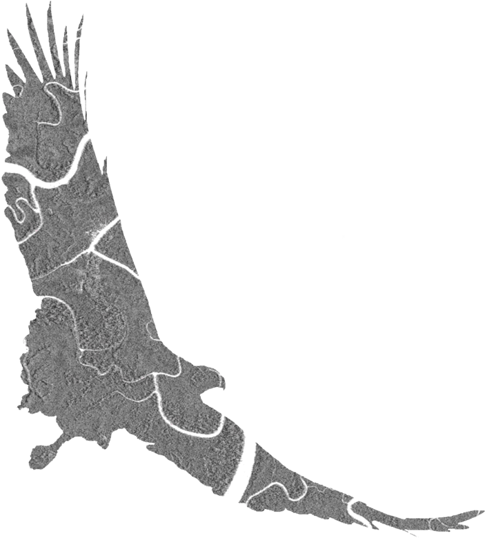 Information - Illustration Clipart (767x800), Png Download