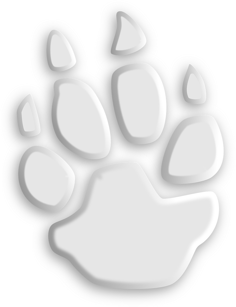 Wolf Paw Footprint - Foot Clipart (986x1280), Png Download