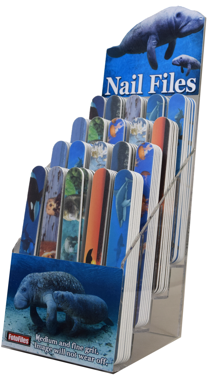 African Elephant Clipart (745x1280), Png Download