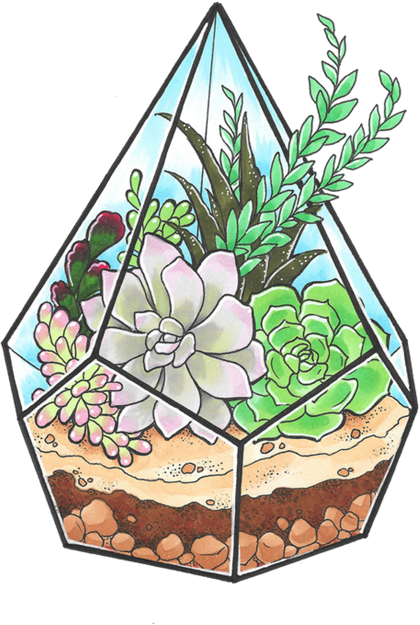 Download Edit Freetoedit Overlay Cactus Tumblr Transparent Background - Aesthetic Plants