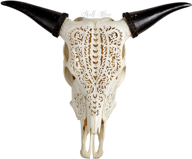 Bull Clipart (645x645), Png Download