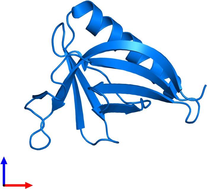 <div Class='caption-body'>pdb Entry 1ddw Contains 1 - Illustration Clipart (800x800), Png Download